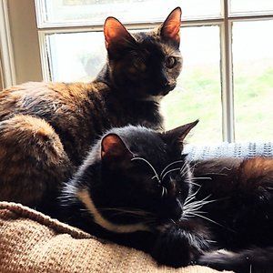 Meet your Posher, Mari